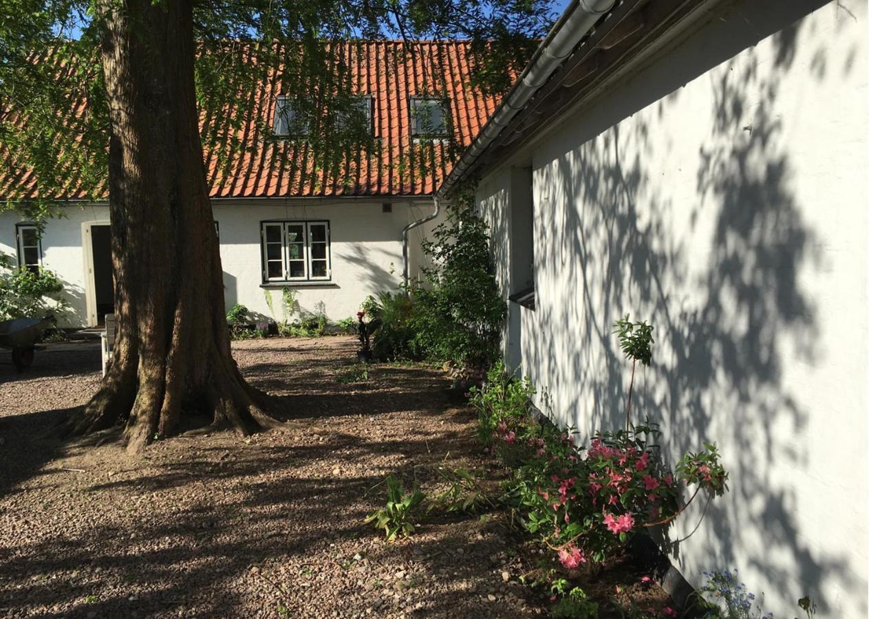 Horhaven B&B Fuglebjerg Ngoại thất bức ảnh